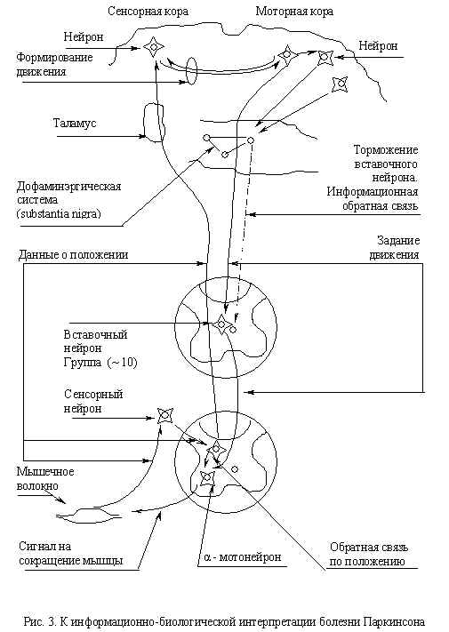 wpe4.jpg (45703 bytes)