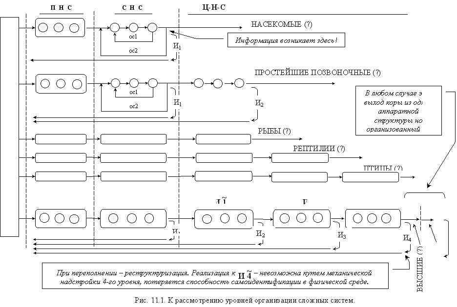 wpe1C2.jpg (76078 bytes)